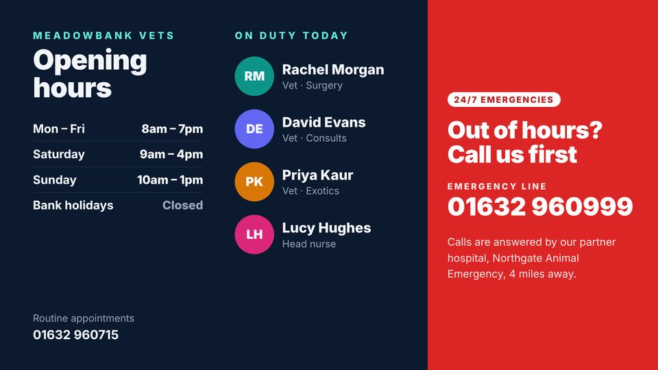 Pharmacy & vet template: Vet clinic info. Opening hours, emergency out-of-hours number and vets on duty today.